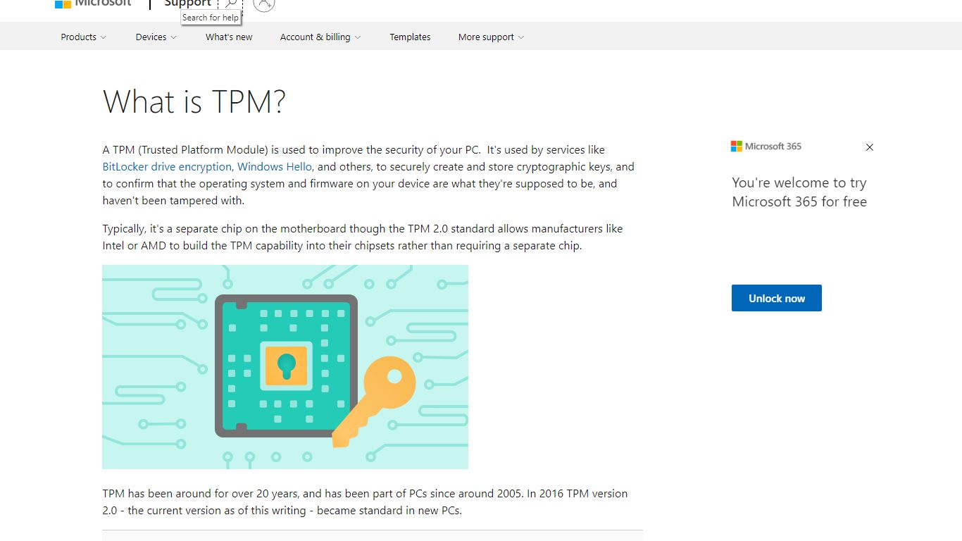 What is TPM? - support.microsoft.com